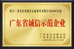荣获2006年度广东省诚信示范企业